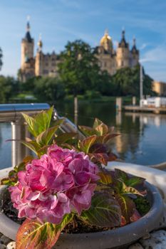 Flowers on a summer day gwith a beautiful castle in Schwerin in the background.