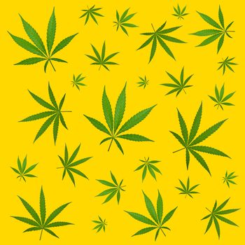 Pattern of green hemp cannabis plant leaves over yellow background