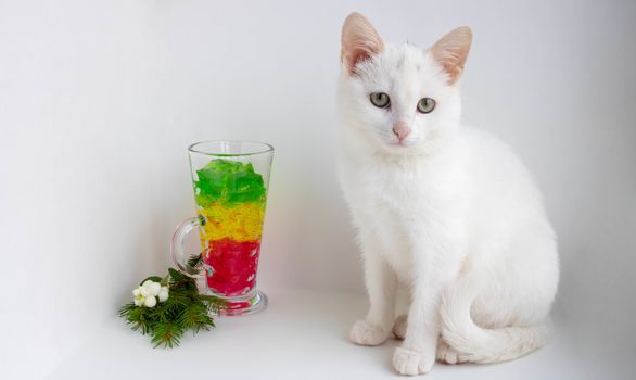 A white cat sits on a white background next to a glass of marmalade,looking at the camera. Space for your text.