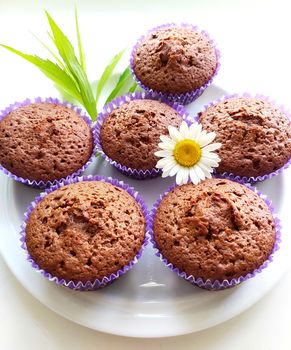 On the plate homemade cakes chocolate cupcakes with chamomile flower