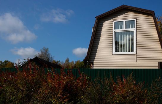 Small country house in the village.Beautiful autumn bushes near the fence.