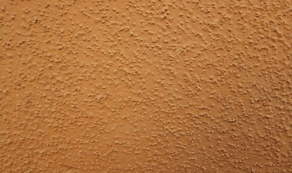 Brown plaster walls. The background of painted wall.