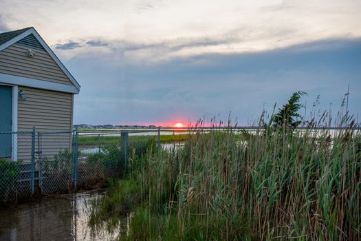 A Fiery Red Sunset Over Some Tall Plants at the Bay in Wildwood New Jersey