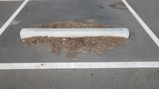 cement curb with debris in parking space or lot with asphalt