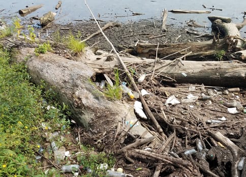 palstic bottles and trash on shore of river or lake