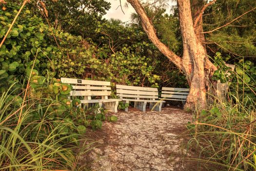 Wood bench overlooks White sand path leading toward Delnor Wiggins State Park at sunset in Naples, Florida.