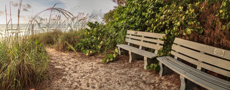 Wood bench overlooks White sand path leading toward Delnor Wiggins State Park at sunset in Naples, Florida.