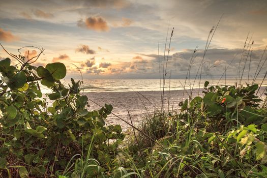 White sand path leading toward Delnor Wiggins State Park at sunset in Naples, Florida.