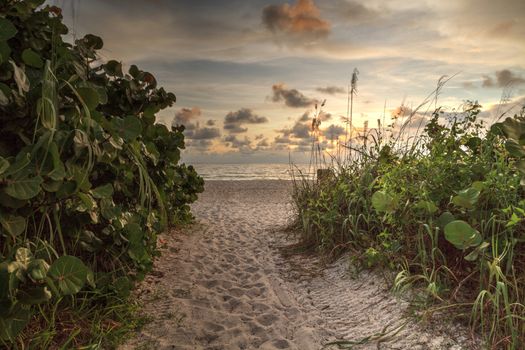 White sand path leading toward Delnor Wiggins State Park at sunset in Naples, Florida.
