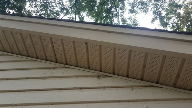 large spider on eaves of house or home with insects in web