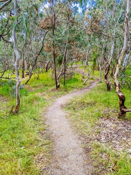 Walk and bike trails with Australian bush setting in Macleod in northern Melbourne in Victoria, Australia