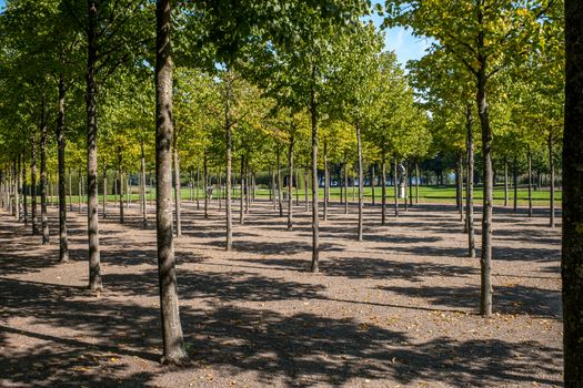 Alley of trees and statues in the Schwerin park.