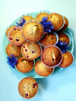 On a plate homemade cupcakes with flowers of meadow cornflowers