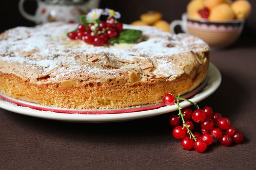 Homemade Apple pie with a sprig of red currant