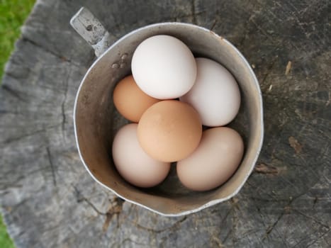 Raw chicken eggs in an old pan on a stump.Texture or background