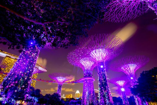 SINGAPORE - AUGUST 26, 2017: Supertrees at Gardens by the Bay. The tree-like structures are fitted with environment technology that mimic the ecology function of trees.