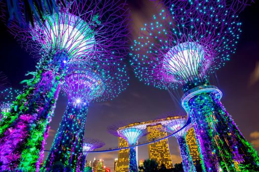 SINGAPORE - AUGUST 26, 2017: Supertrees at Gardens by the Bay. The tree-like structures are fitted with environment technology that mimic the ecology function of trees.