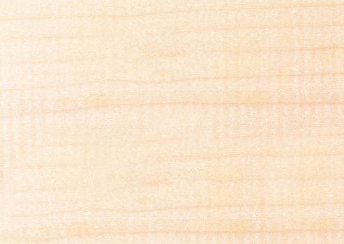 Light beige laminate with wood look with a textured surface