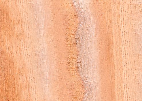 Light beige laminate with imitation wood background or texture