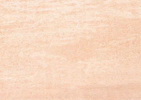 Light beige rough surface of the wooden products