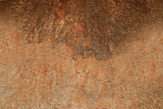Wood bark with natural textured pattern and rust color