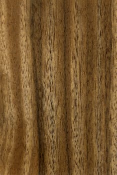 Brown natural surface with textured stripes for home interior.Texture.Background