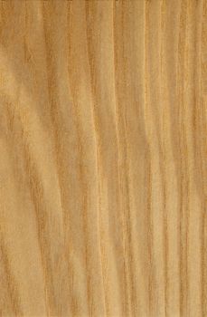 Light beige wood surface with stripes and textured surface for design and interior