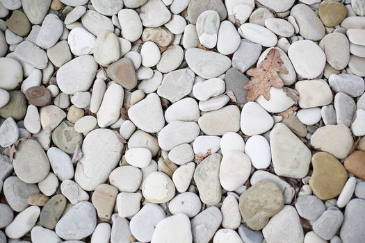 A large number of sea pebbles close-up.Texture.Background.