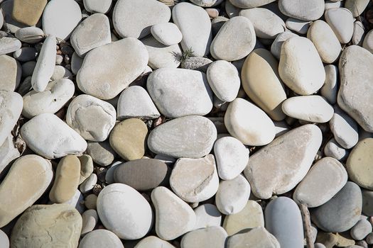 A large number of sea pebbles close-up on the coast.Texture.Background.