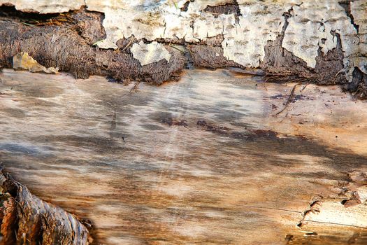 The old surface of the wooden frame.Texture.Background.