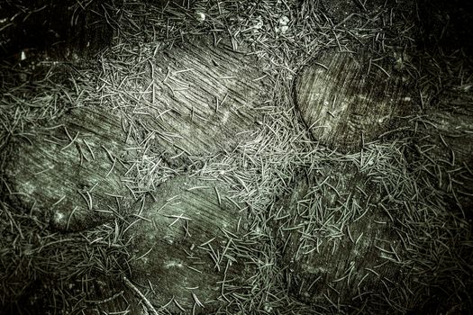 The road in the Park lined with round cut pieces of tree trunk .Background.