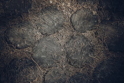 Forest path lined with round cut pieces of oak brown natural colors