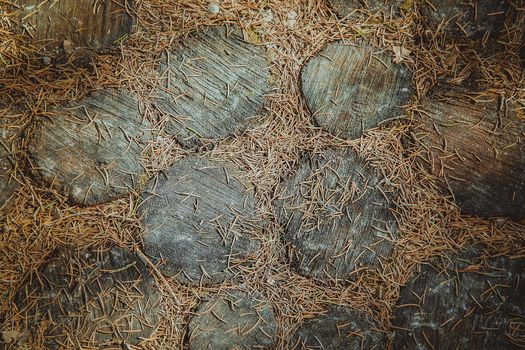 Forest path lined with round cut pieces of oak