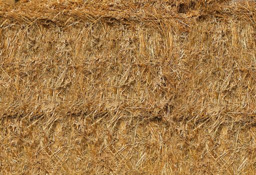 Yellow straw is pressed into huge round bales .Texture or background.