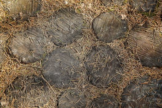 Forest path lined with round cut pieces of oak brown natural colors.Texture.Background.