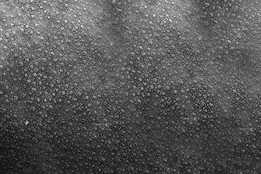 Artificial leather black with pimples on the surface of the color.Texture or background.