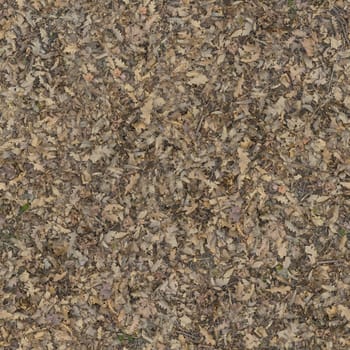 The ground is covered with a lot of dry foliage.Texture or background.