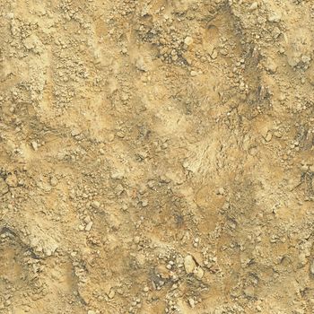 The soil underfoot is yellow with irregularities and pebbles.Texture or background.