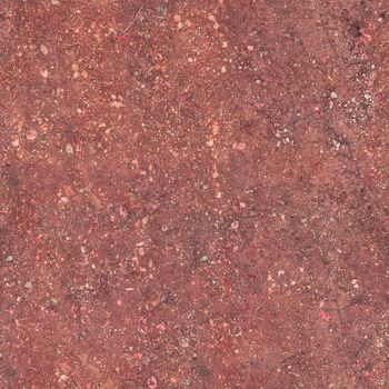 The soil under the feet is red and consists of small stones and sticks.Texture or background