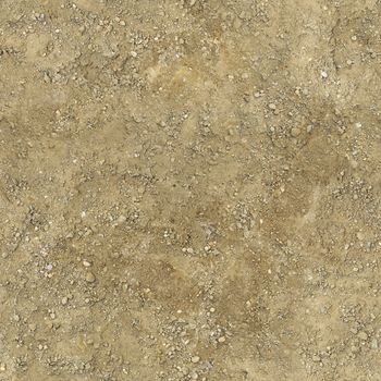 The soil under the feet is Golden with textured surface.Texture or background.