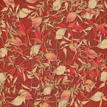The dry leaves are beautifully scattered over the Burgundy fabric .Texture or background