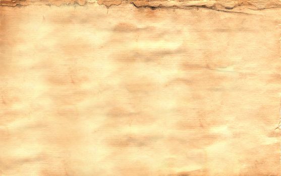 Aged parchment paper yellow brown with burnt edges and spots .Textures or background