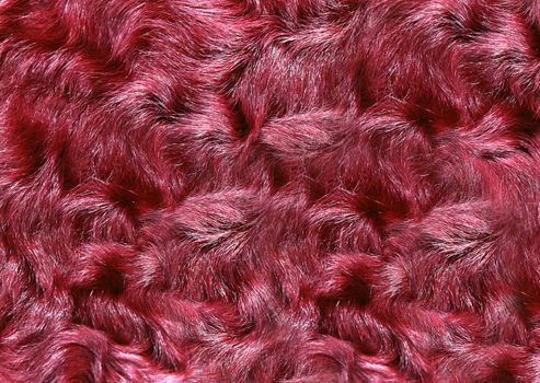 Long-haired faux fur is dyed purple.Texture or background
