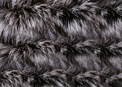 Long-haired fur of a wild animal is painted in gray-black color.Texture or background