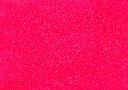 Red wall with numerous white spots on the surface .Texture or background