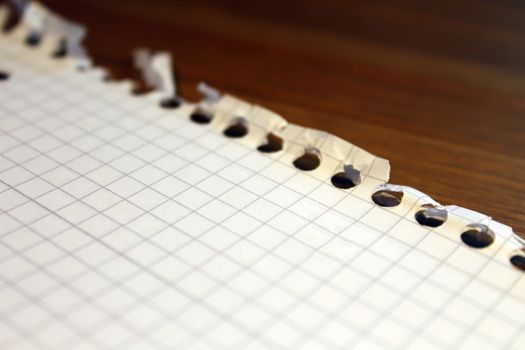 On the table is a sheet of white paper from a notebook for notes in a cage