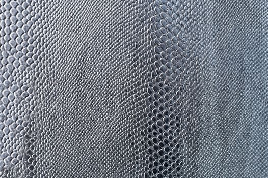 Smooth dark gray snake skin with a characteristic natural pattern