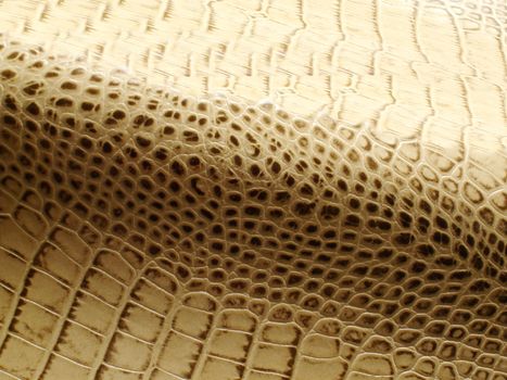 Smooth yellow snake skin with characteristic natural pattern