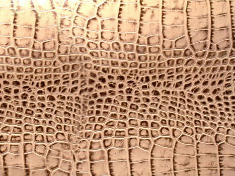 Smooth orange snake skin with a distinctive natural pattern