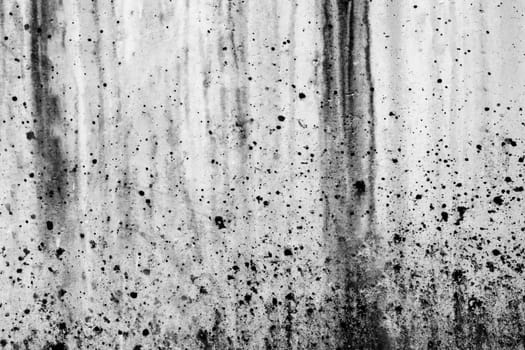 The concrete wall is gray spattered with black paint . Texture or background